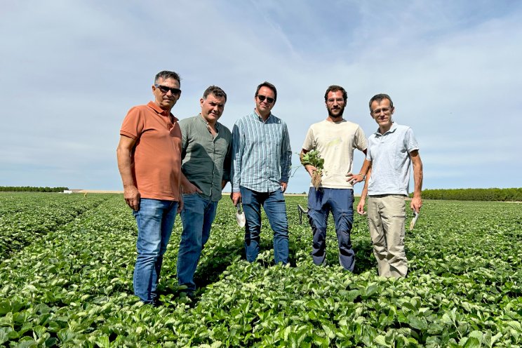 EL PINAR maintains its growth in all marketed varieties