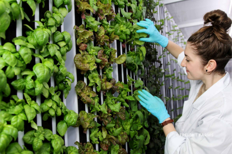 Transforming vertical farming with the Greenery