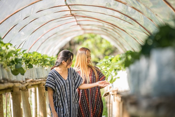 Greenhouse agriculture, a way forward for Sri Lanka