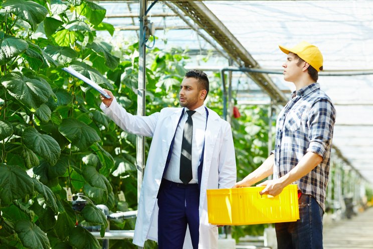 Don't delay the future of your horticulture business