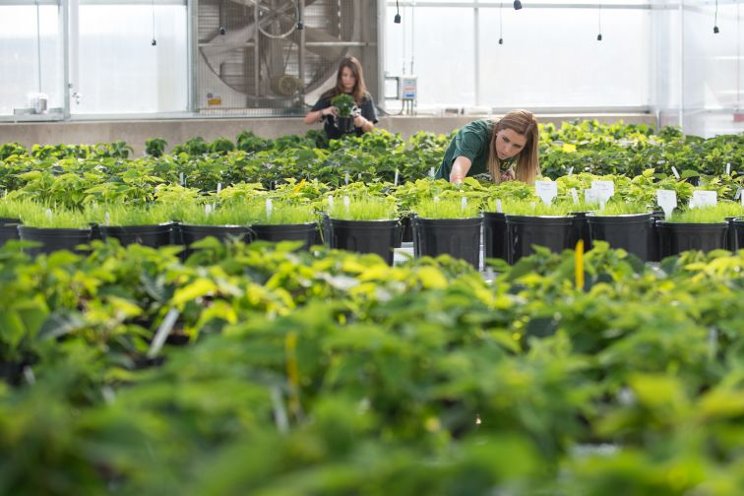 Why there's a bright future in horticulture education