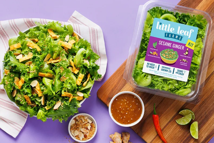 Little Leaf Farms introduces new Sesame Ginger Salad Kits