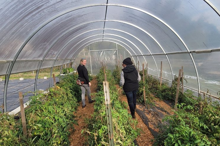 Forging pathways to land access for BIPOC farmers
