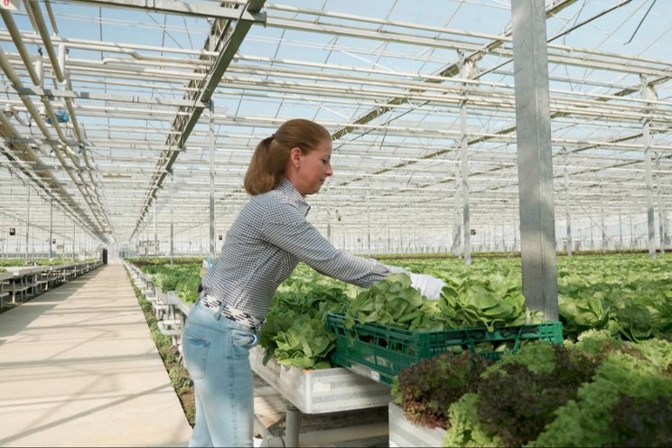 Is indoor hydroponics a good solution for agri cooperatives?