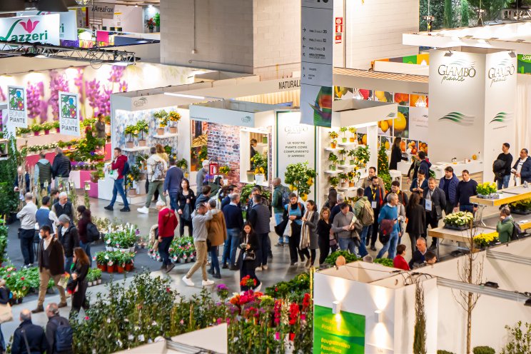 Italian horticulture confirms record productions