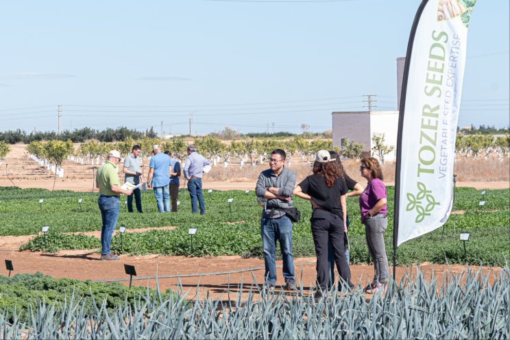 Tozer showcases 150 vegetable varieties at its Murcia Open Days