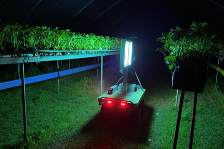 UV robot against powdery mildew