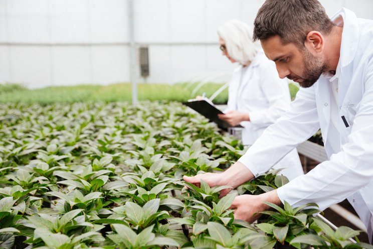 Automating your growing operation: Unlocking yield, health, and efficiency