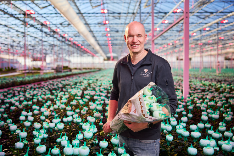 Intelligent Philips LED lighting at J&A Chrysanten optimizes production