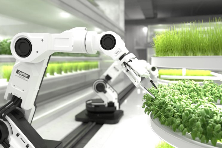 Examining the growing presence of cobots in agriculture