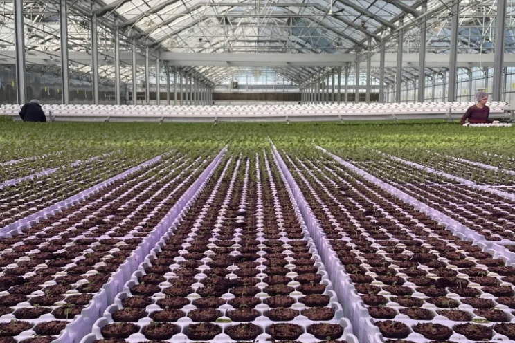 How can USDA improve energy efficiency in your greenhouse?