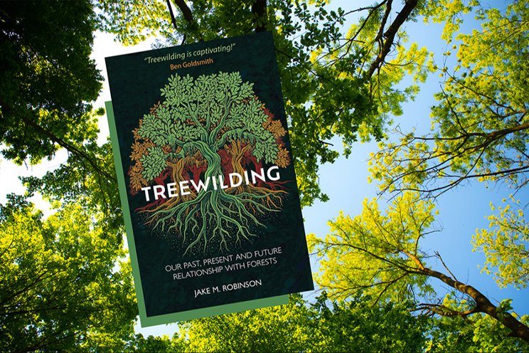 Rethinking our relationship with trees