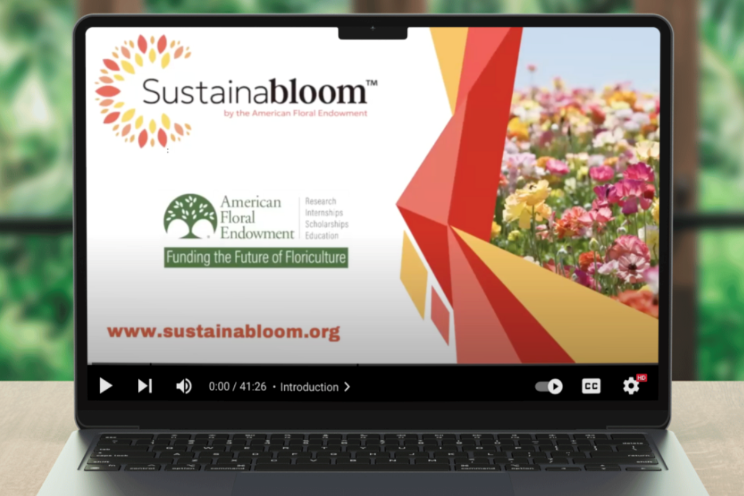 Sustainabloom forges path to greener future for floriculture business