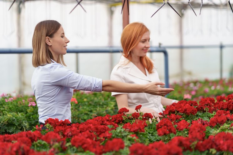 Understanding your greenhouse's commercial auto policy