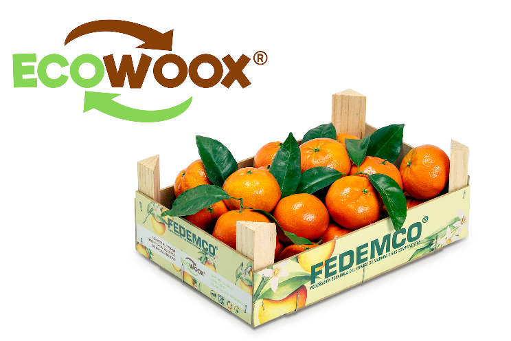 The wooden packaging industry presents Ecowoox in Brussels