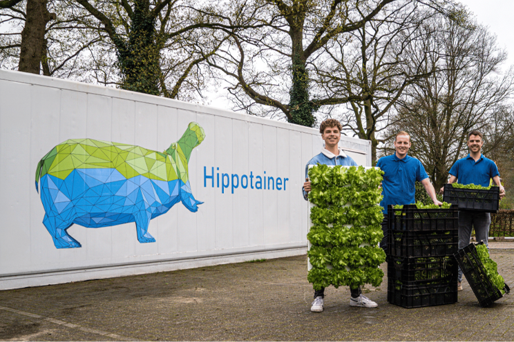 Fresh vegetable production inside shipping containers in Ukraine