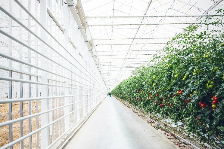 Are greenhouses really all that 'green'?