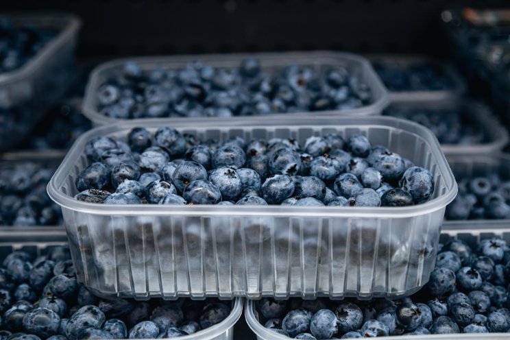 Rapid changes ensure continued success for the global blueberry industry