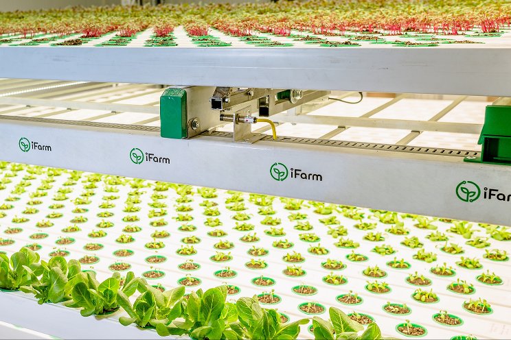 'Hyperlocal' vertical farm announces expansion plans