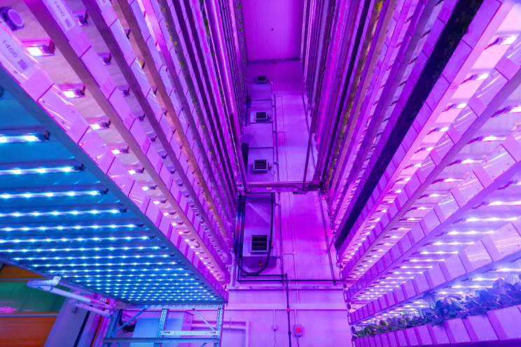 Inside the Growth Tower: how we control the plant's environment