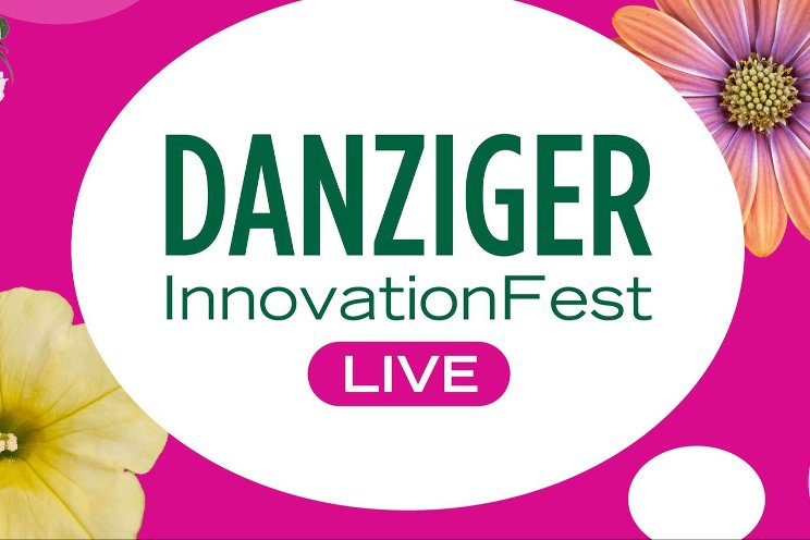 Danziger announces InnovationFest Live Stream Lineup