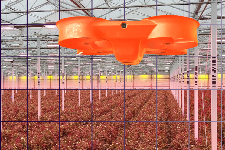 Hydroponic Lettuce: Today's tech and data driven growing