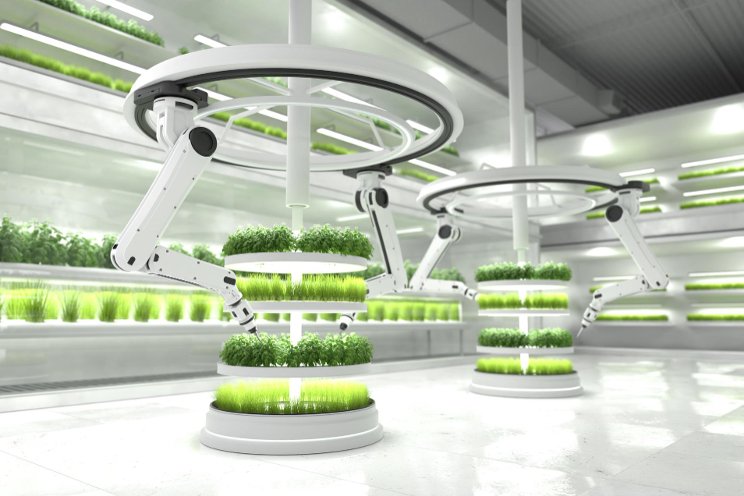 Robotics transforms greenhouse horticulture