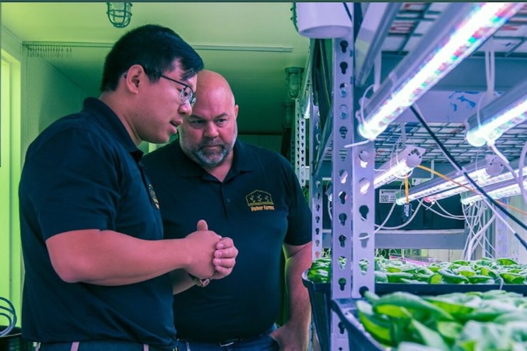 Phoenix clean tech startup taps into growing produce market