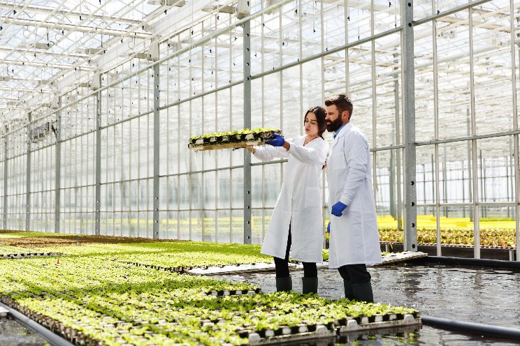 Intro to greenhouse environmental controls offers learning opportunity