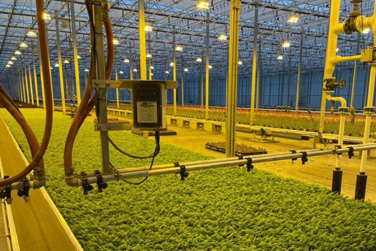 ErfGoed establishes WaterSystems Department for greenhouses