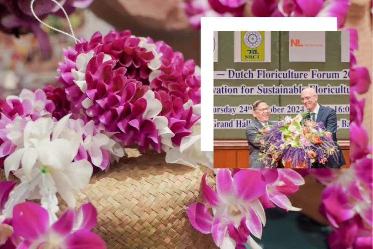 Dutch Thai Floriculture Forum 2024 in Bangkok envisions collaboration