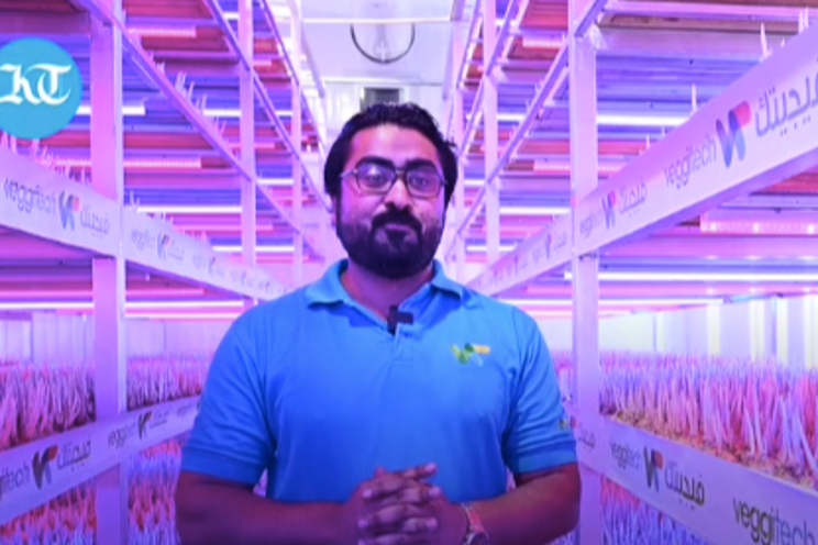 Inside GCC’s biggest indoor saffron farm