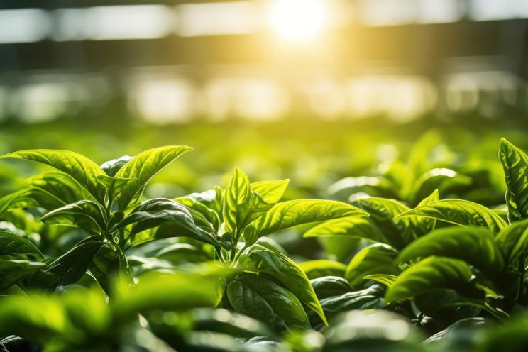 This new method would replace photosynthesis with solar power