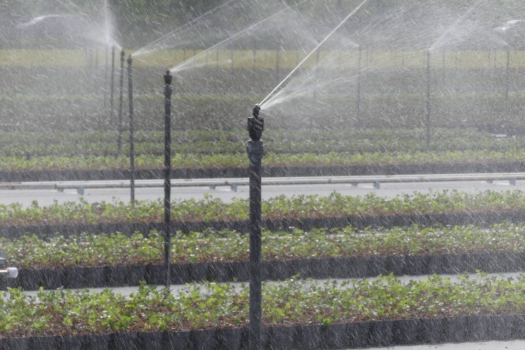 Erfgoed to help growers make informed irrigation decisions