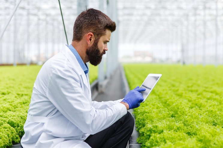 The realities of ERP implementations for greenhouse growers