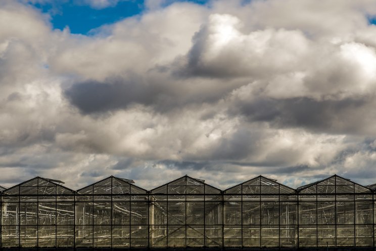 BrightFarms expands to Texas with new greenhouse