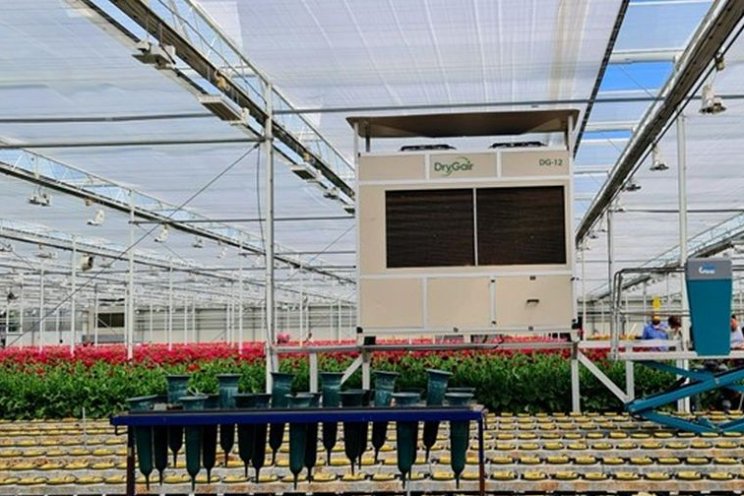 How greenhouse growers are cutting heating costs during winter