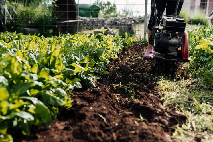 Horticultural machinery like new, but at lower costs