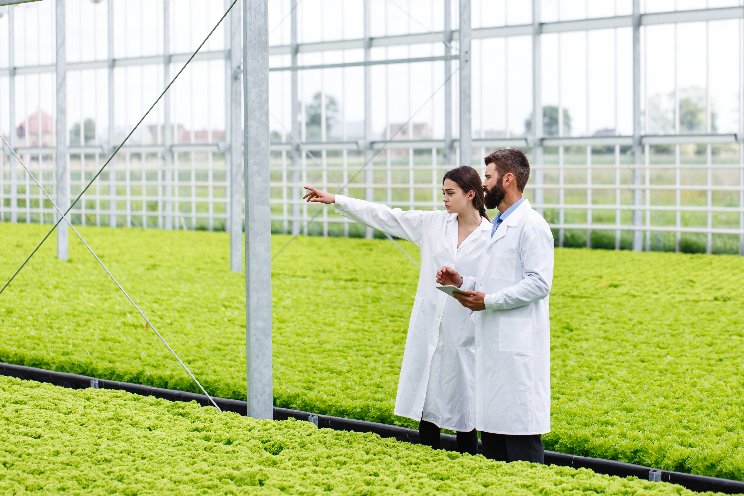 New $75M propagation greenhouse at Glencoe opens