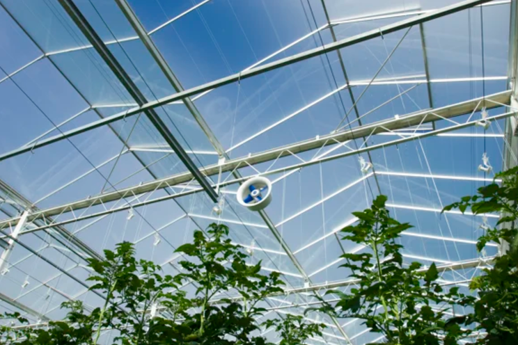 Optimizing greenhouse climate with vent control in Priva tech