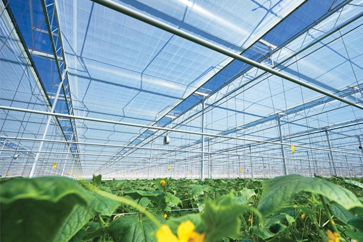 Overcoming the challenges of greenhouse climate management