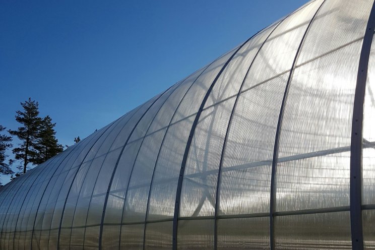 Polytunnel Farming: A cost-effective modern solution