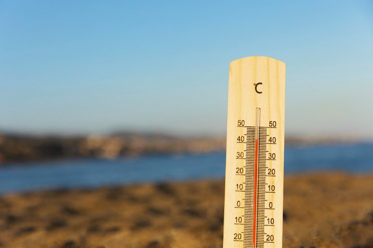 New soil moisture meter geared for greenhouse, potted plants