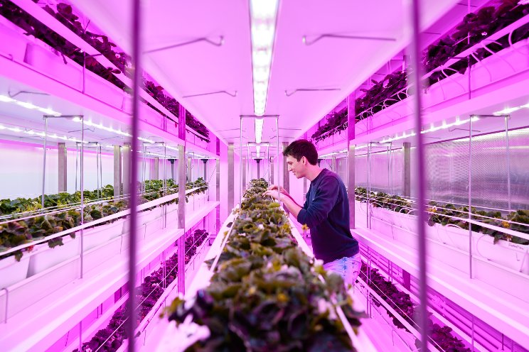 Behind the scenes of indoor farming