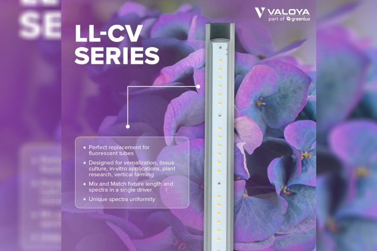 Valoya unveils LL-CV Series at IPM Essen