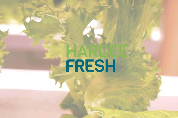 Hardee Fresh collaborates with VoltServer for innovative VF solutions