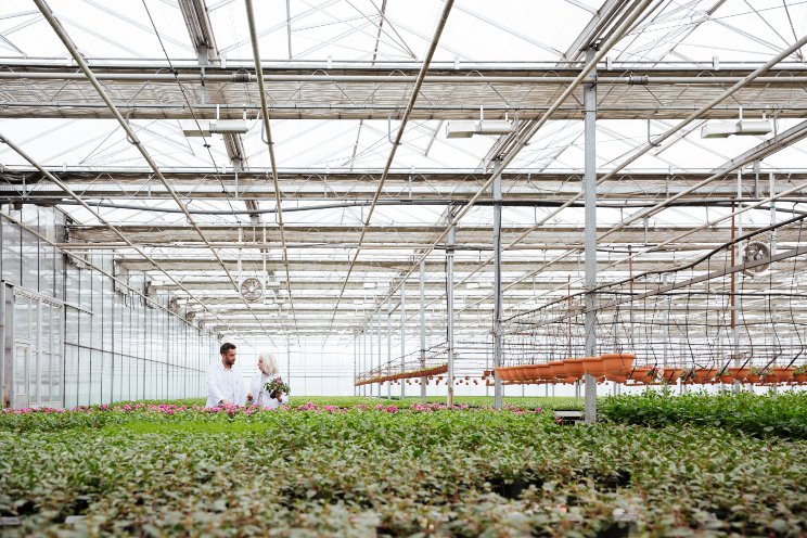 Singapore's homegrown farming dream is beginning to fade