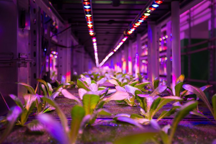 Omaha: Cutting-edge vertical farm opens downtown