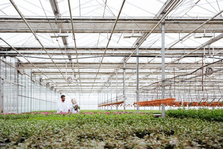 Vineland Research Centre receives $23M to grow Canadian horti