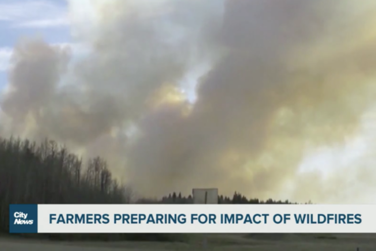 How does wildfire smoke affect agriculture?